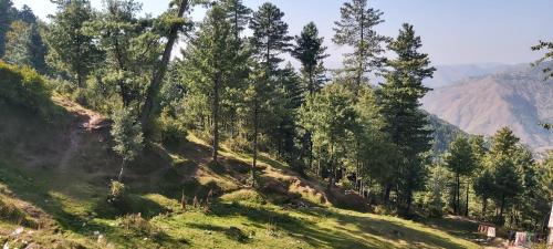 Mount Heaven Hotel Murree, Murree (photo 2)
