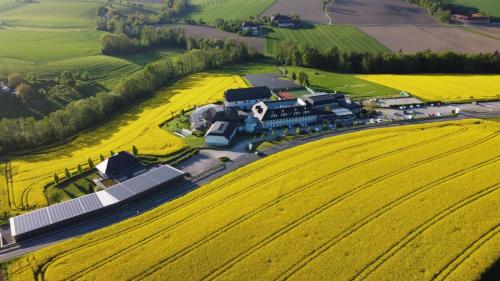 1A Landhotel Schicklberg in Kematen an der Krems
