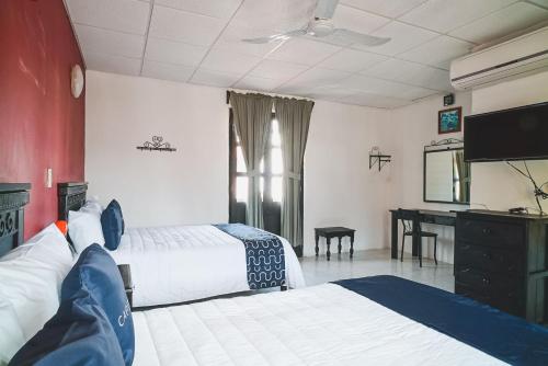 Hotel Los Ángeles (Hotel Los Angeles) in 奇亞帕德哥爾索