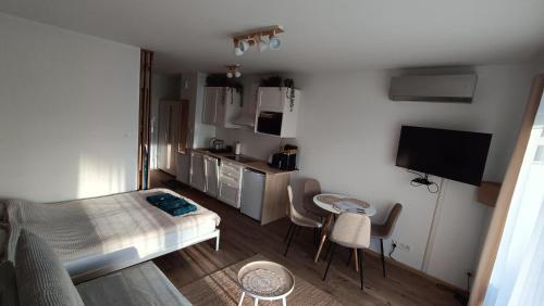 Studio by the River with Terrace, Basen, Sauna, Jacuzzi, Fitness, Dziwnów (photo 10)