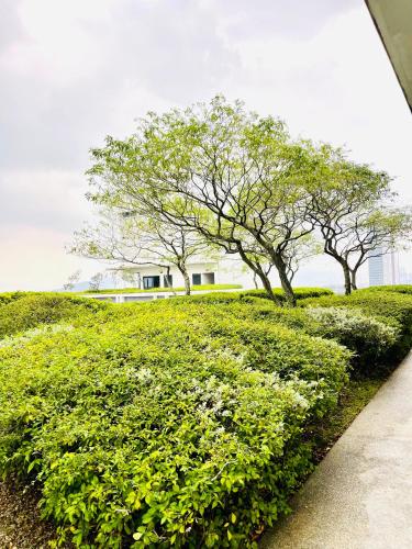 KLCC Service Suites at Mews - image 11