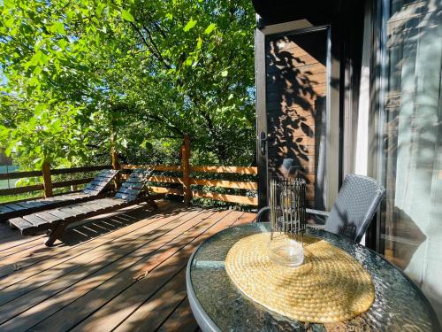 Pensiunea Ioana in Borsa