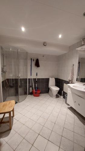 Осло, комната для 1-3 гостей, Oslo (photo 9)