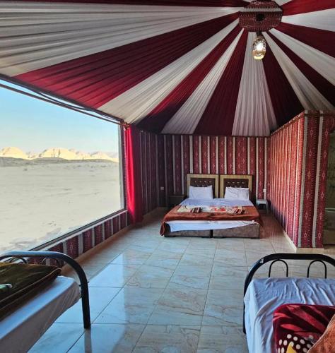 Camp in the natural reserve & tours, Aqaba