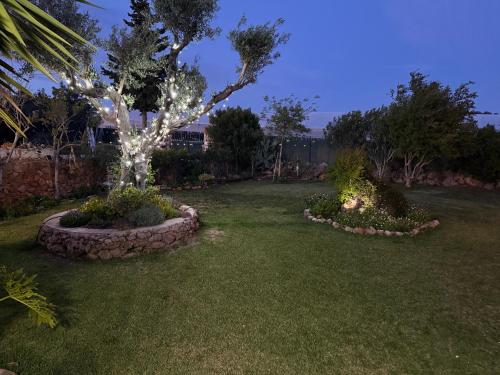 Casa Tranquility with beautiful pool and Jacuzzi!, Loulé (Foto 10)