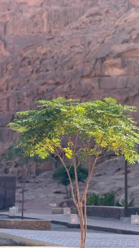 Dintorni, RUM GOLDEN DUNE lUXURY RESORT in Wadi Rum