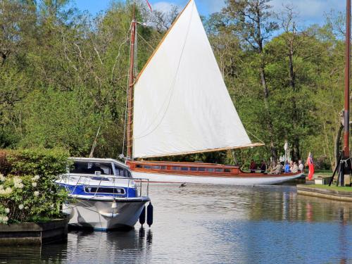 Caracol - Cccf, Wroxham (foto 9)
