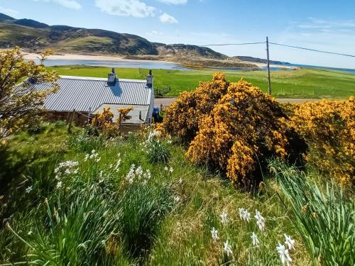Viesnīcas āriene, The Captains in Bettyhill