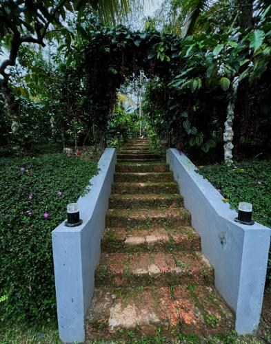 Coffee Breeze Resort in Varadoor