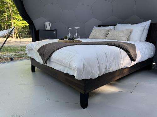 Rare Mirrored Glamping Dome in 塞文港(ON)