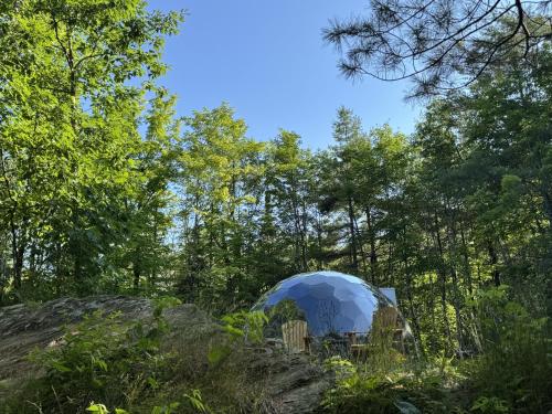 Rare Mirrored Glamping Dome in 塞文港(ON)