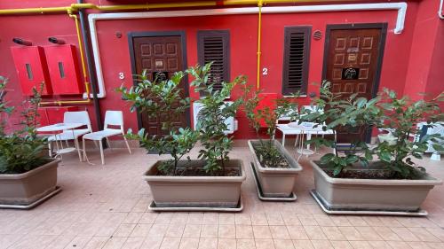 B&B Moscati home in Avellino