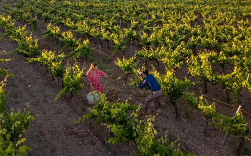 Hotel Baglio Oneto dei Principi di San Lorenzo - Luxury Wine Resort - image 5