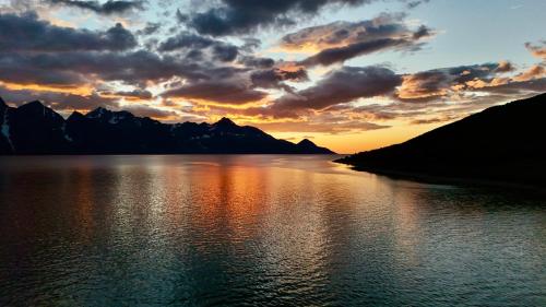 Lyngen Fjord Homes by Havnnes in Havnnes