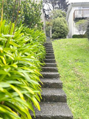 Skyline Sanctuary - Entire Aparment with Luxe Views, Espresso and Parking in Karori