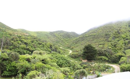 Surrounding environment, Skyline Sanctuary - Entire Aparment with Luxe Views, Espresso and Parking in Karori