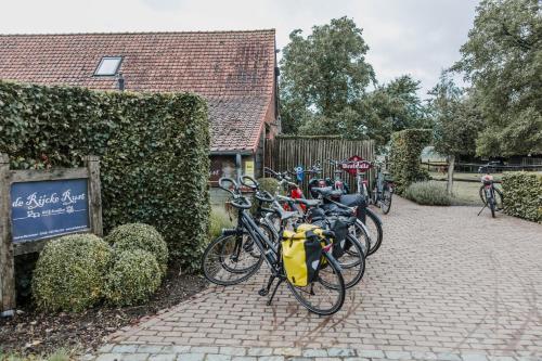 B&B de Rijcke Rust - image 10