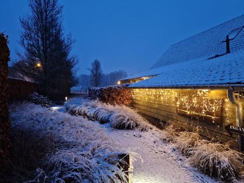 B&B de Rijcke Rust - image 12
