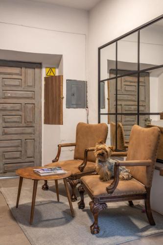 Casa Yuca Hotel Boutique in San Miguel De Allende