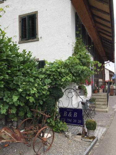 外部景觀, Airport Zürich Elwiras B & B (Airport Zurich Elwiras B & B) in 比拉赫