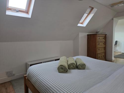 Private Flat and Large Ensuite Rooms Near University Town Centre & Hospital, Reading (fotografie 9)