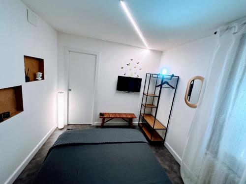 Suite 31