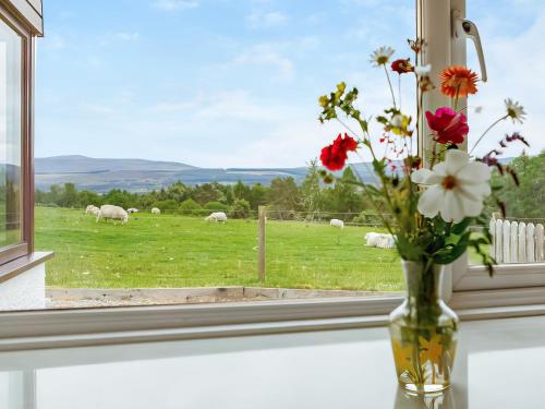 Udvendig, Drumlea Cottage in Bonar Bridge