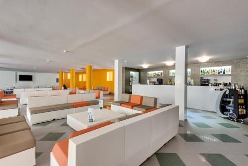Occidental Ibiza - image 12