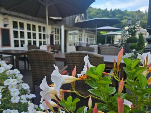 Parkhotel Idar-Oberstein