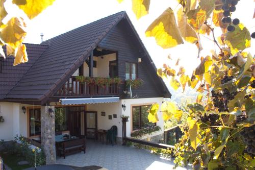Casa din Vale in Vale