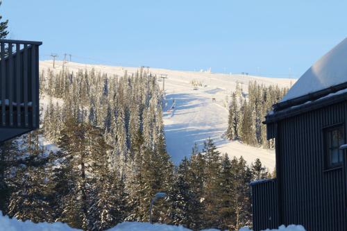 Fjällbäcken Pool and Padel (Fjallbacken Pool and Padel) in Salen