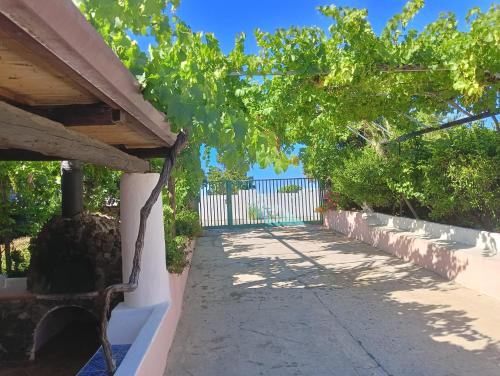 A casa Di Fabrizio Appartamento Il Cappero in Filicudi