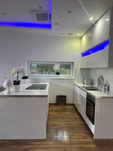 Kitchen, Vila Martina in Popuvky