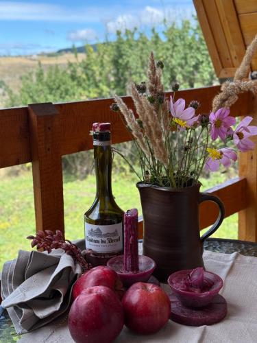 Panorama Dashbashi - Hotel in 泰特里茨卡罗