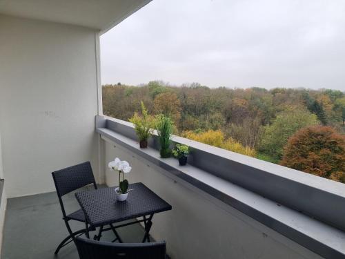 Deluxe Studio Apartment with balcony and view in 美因河畔哈特爾斯海姆