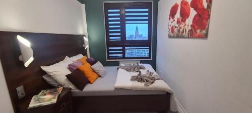 Lux Apartment Center, Breslau (Foto 5)