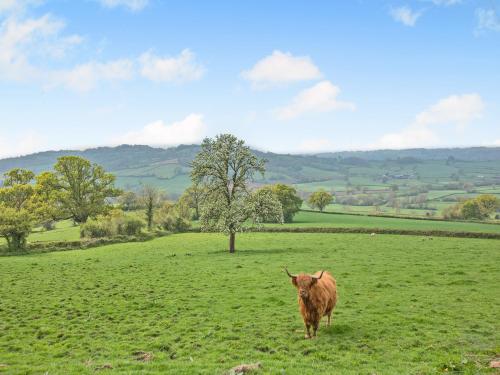Exterior view, Osmore Orchard in Chard