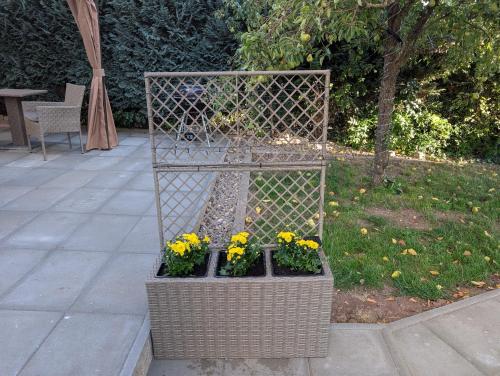 陽台/露台, Schöne Ferienwohnung (Schone Ferienwohnung) in 萊爾貝格