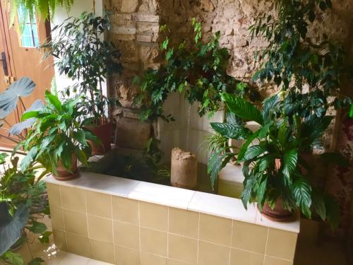 Apartamento en Casa Patio Pan y Conejo, Кордова (фото 5)