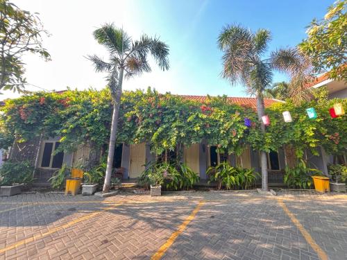 โคลฟเวอร์ โฮมสเตย์ (Clover Homestay) in โปรโบลิงโก้