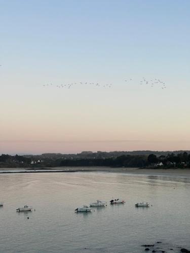 Apkārtne, Appartement pieds dans l'eau, Locquirec in Locquirec ciems