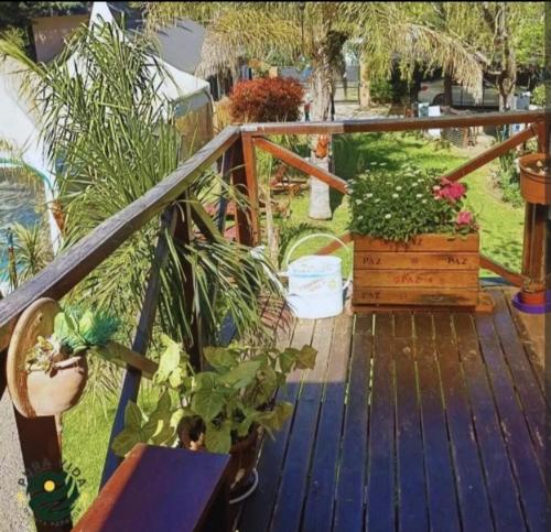 Pura vida quinta parador