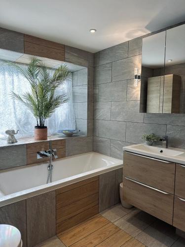 Botanical Suite Ryde Isle of Wight in Ryde North West