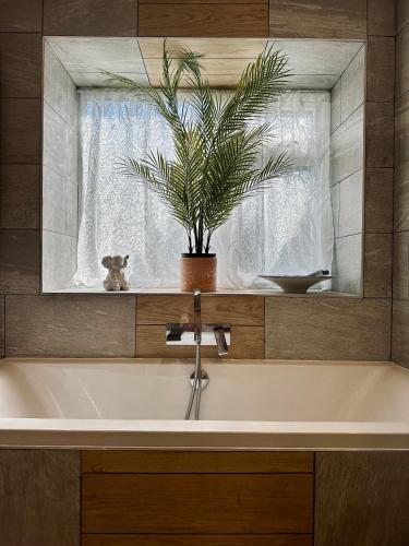 Botanical Suite Ryde Isle of Wight in Ryde North West