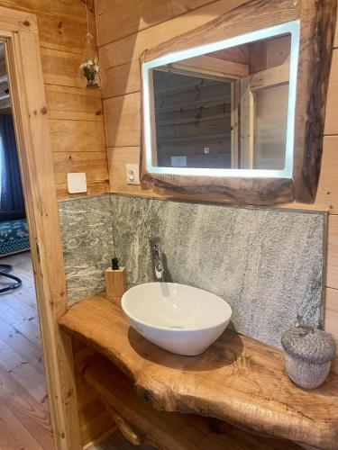 Chalet nature in Grandrupt
