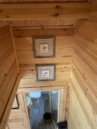 Chalet nature in Grandrupt