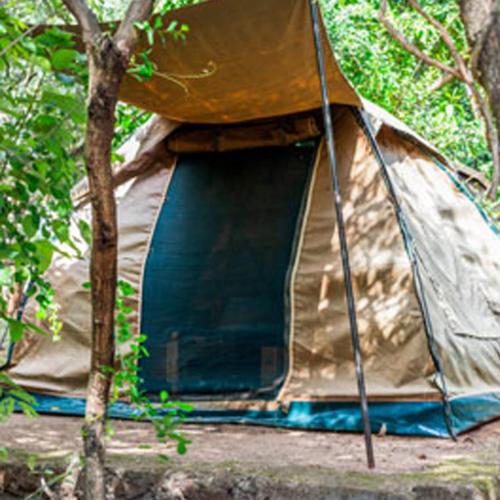 Havennature Safari Camp and Lodge in Mererani