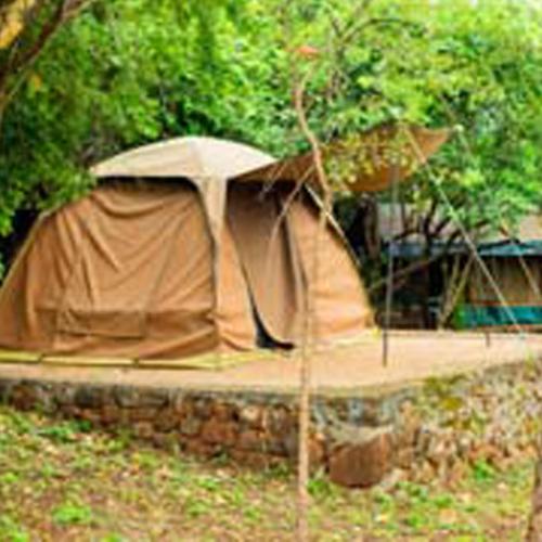 Havennature Safari Camp and Lodge in Mererani
