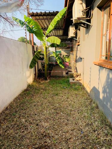 Plateau Guest House in カサネ