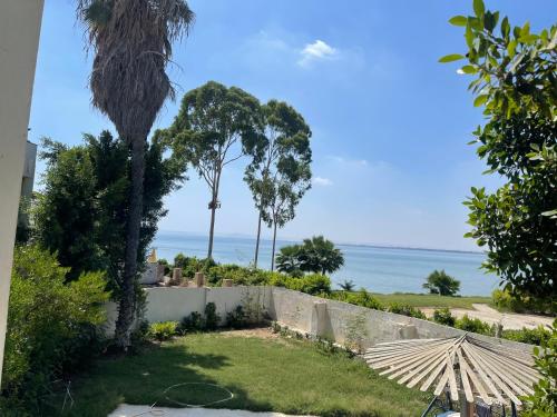Villa 5 with Private Pool, Fayed (photo 4)